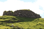 Tirfuir